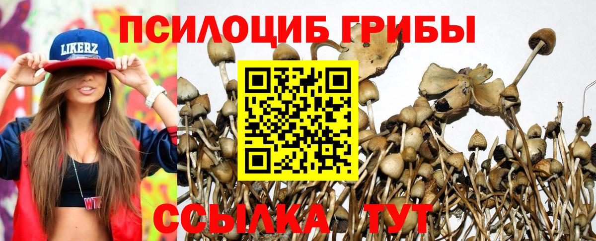 Галлюциногенные грибы Magic Shrooms  Вход с VPN  Звенигород 